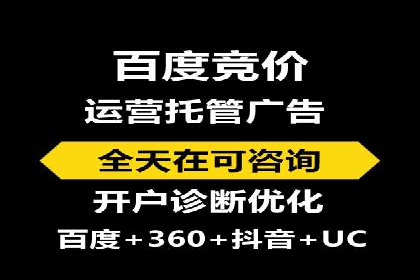 百度竞价排名机制：成功案例与策略探讨